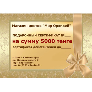 Подарочный сертификат на «5000»